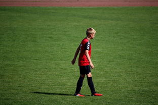 华体会app功能-世界青年滑板锦标赛中国少年夺奖，青少年滑板联赛