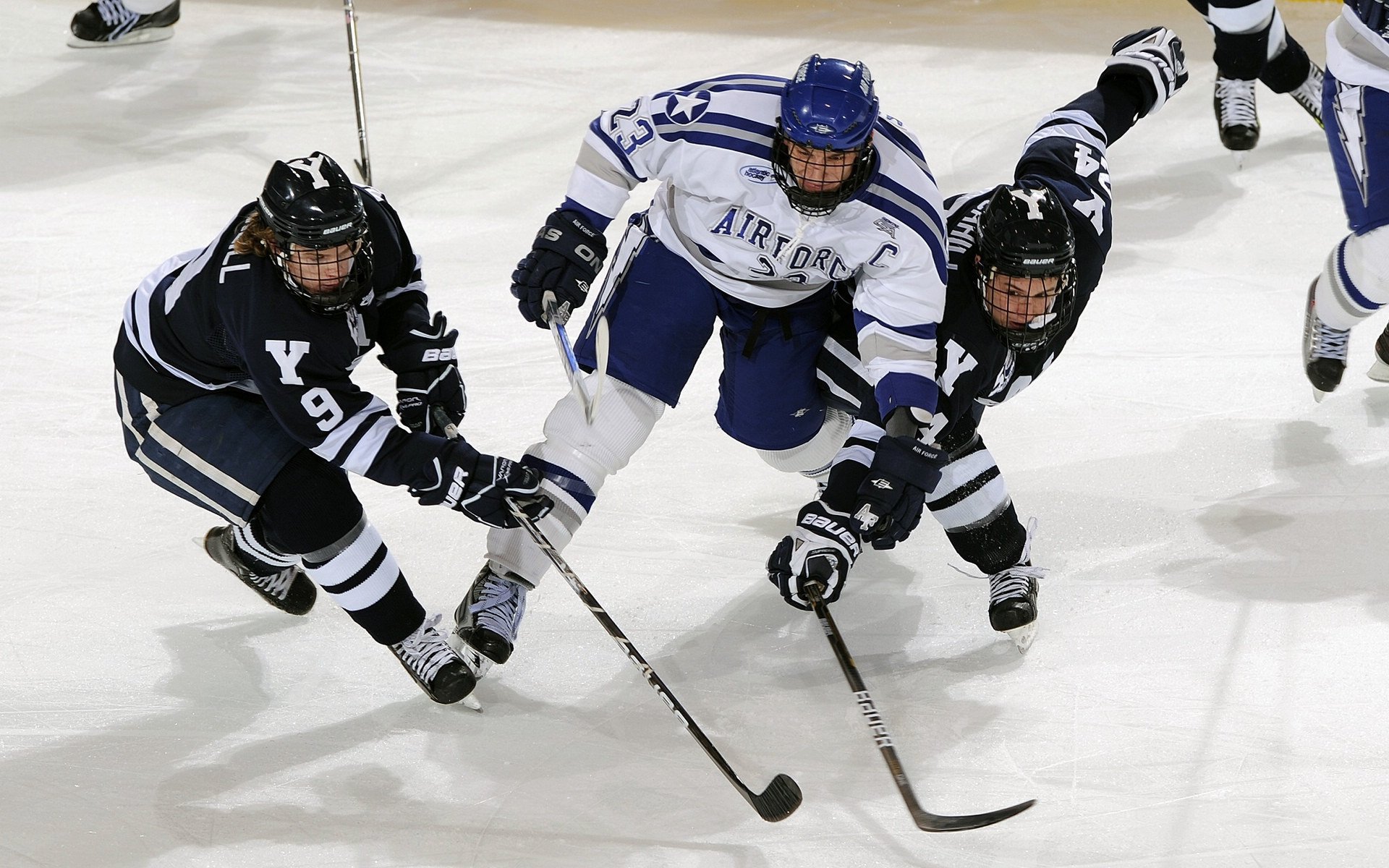 体育场馆无障碍设施建设，体育场馆无障碍设施建设情况